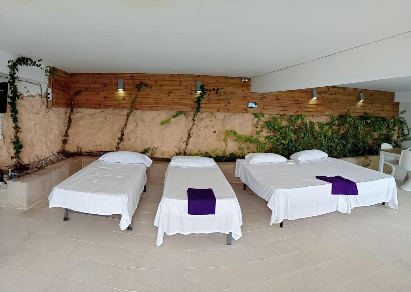 Exclusive Seafront Villa,Private Pool,Gym,Bbq El Toro  Eksteriør billede