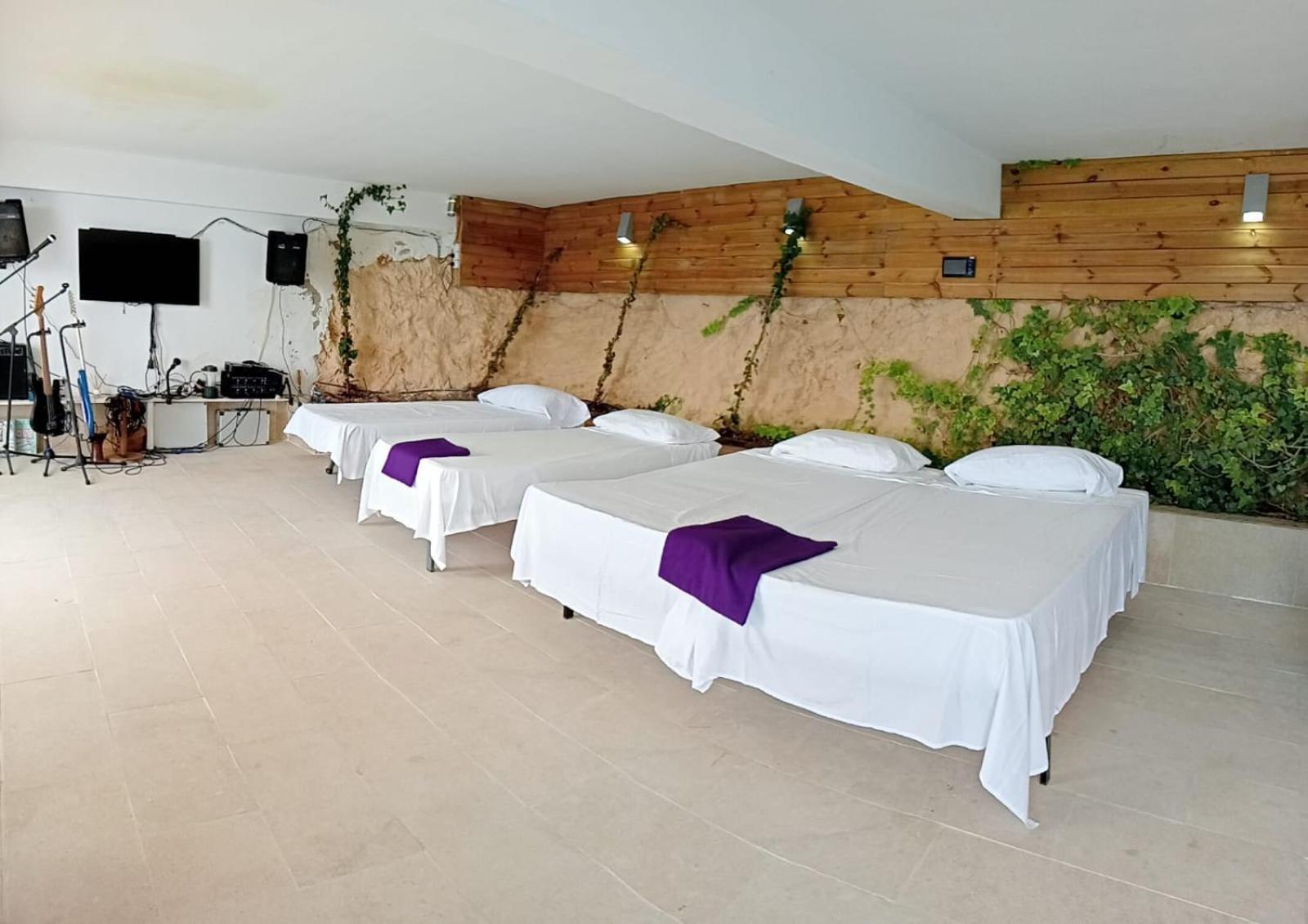 Exclusive Seafront Villa,Private Pool,Gym,Bbq El Toro  Eksteriør billede